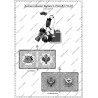 Autriche - Cuirassiers - Uniformes & Drapeaux 1756-1763