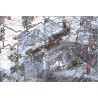 Ardennes 1944-45  (2nde édition)