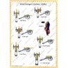 Contingents Britanniques en Allemagne - Uniformes & Drapeaux 1758-1762