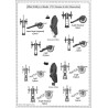 Minden - Set COMPLET des 59 planches.