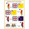 Minden - Armée Alliée: Uniformes et Drapeaux