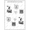 Saxe - Armée en 1756 - Uniformes et Drapeaux