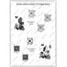 Zorndorf - Set COMPLET des 38 planches.
