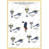 Zorndorf - Set COMPLET des 38 planches.
