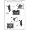 Zorndorf - Set COMPLET des 38 planches.