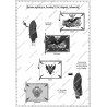 Zorndorf - Set COMPLET des 38 planches.