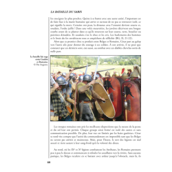 Les Batailles Oubliées n°21 - Sabis 57 Av. JC