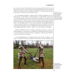 Les Batailles Oubliées n°27 - Brignais 1362