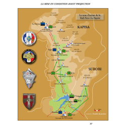 Les Batailles Oubliées n°24 - Afghanistan 2011-12