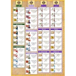 Torgau - Set COMPLET des 58 planches.