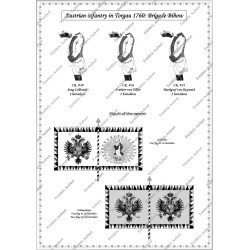 Torgau - Set COMPLET des 58 planches.