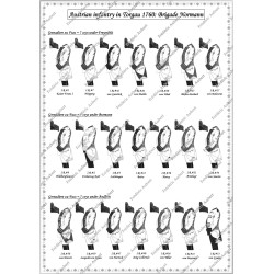 Torgau - Set COMPLET des 58 planches.