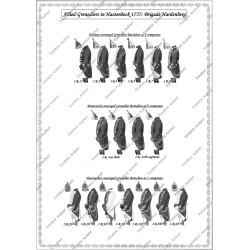 Hastenbeck - Set COMPLET des 56 planches