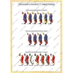 Hastenbeck - Set COMPLET des 56 planches