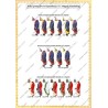 Hastenbeck - Set COMPLET des 56 planches