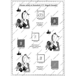 Hastenbeck - Set COMPLET des 56 planches