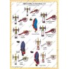 Hastenbeck - Set COMPLET des 56 planches