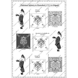 Hastenbeck - Armée Française: Uniformes et Drapeaux