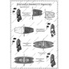 Hastenbeck - French Army: Uniforms and Flags