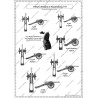 Hastenbeck - French Army: Uniforms and Flags