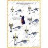 Hastenbeck - French Army: Uniforms and Flags