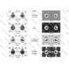 Prussian Army - Infantry: Flags to Print (19 plates)