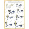French Army in Germany "Infantry" - Uniforms and Flags 1757-1762