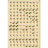 Blitzkrieg 1939 German 16th Corps