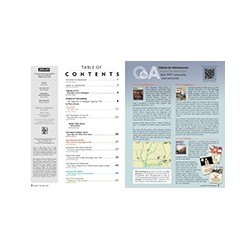 Against the Odds 62: Strike of the Heron