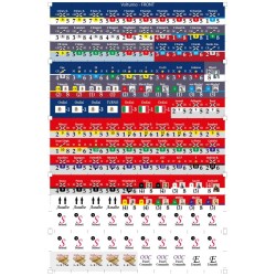 Para Bellum Special n°3 Volturno 1860