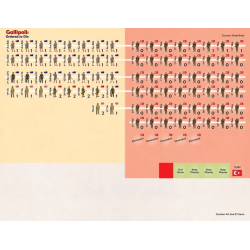 Gallipoli: Ordered to Die
