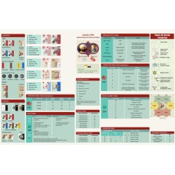 ALEA Magazine 38 - Sagrajas 1086: The Almoravids balance the Forces