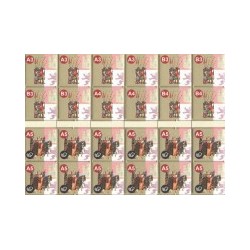 ALEA Magazine 38 - Sagrajas 1086: The Almoravids balance the Forces